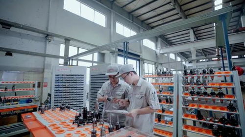 錫山區(qū)首家創(chuàng)業(yè)板上市企業(yè) 信息化工程引領(lǐng)區(qū)域產(chǎn)業(yè)升級